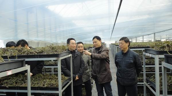 ֣гݰ̨ݿƼְҵѧԺָ