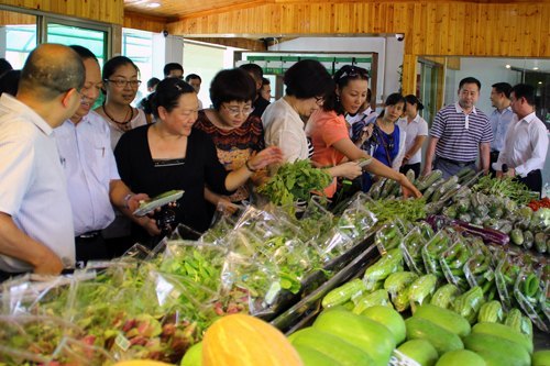 平潭新农村建设展新颜 惠州学院干部参观学习感受深