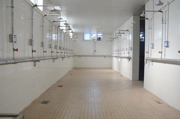 副院长赵正风到后勤集团检查指导暑期改造工程