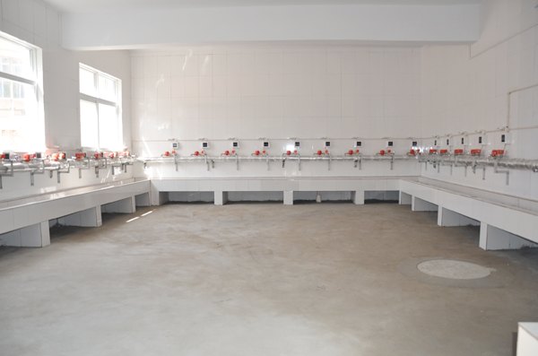 副院长赵正风到后勤集团检查指导暑期改造工程