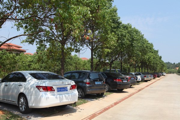 后勤努力为师生办实事