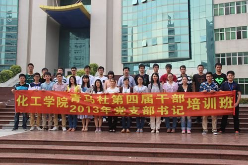 ѧԺٿĽɲ2013굳֧ѵ