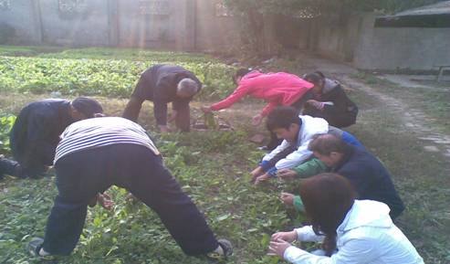 ͼģʮ仰ɳഺ־ԸСǰչҵѧѧԺ־Ը߷ӳʮ