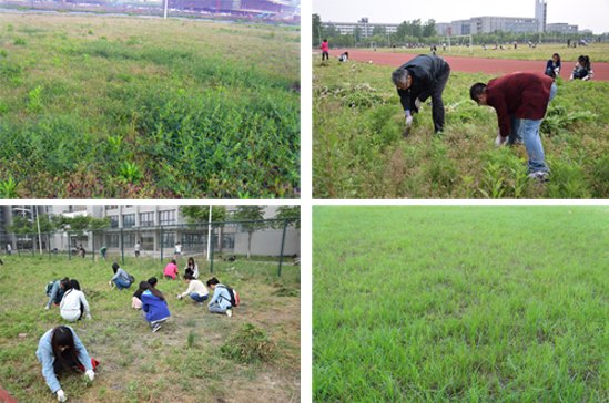 ӪõУ԰ʦͬչݻ̡У԰ݻ