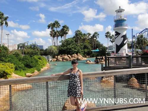 梦一般的奇遇:大世界,小人生——2011年史迪威赴美带薪实习学生经验分享(一)