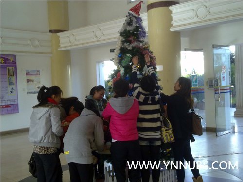 云南师范大学商学院再竖圣诞树 节日未到“味”先浓