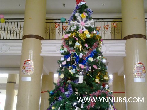 云南师范大学商学院再竖圣诞树 节日未到“味”先浓