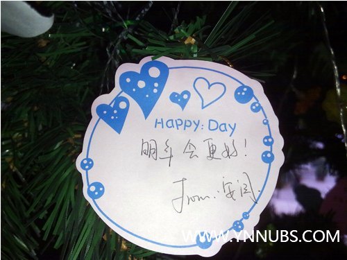 云南师范大学商学院再竖圣诞树 节日未到“味”先浓