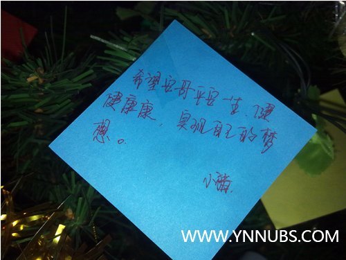 云南师范大学商学院再竖圣诞树 节日未到“味”先浓