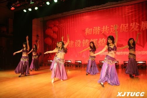 和谐共进促发展,文化建设铸辉煌:西安交通大学城市学院举办2012年迎春茶话会