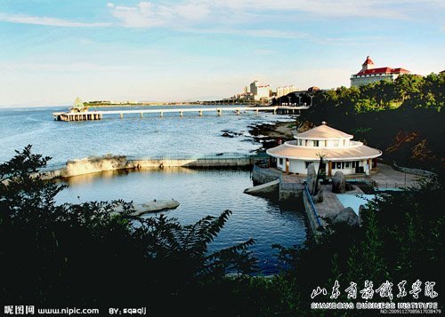 山东商务职业学院发展有了“金名片”:烟台三获文明城市殊荣!