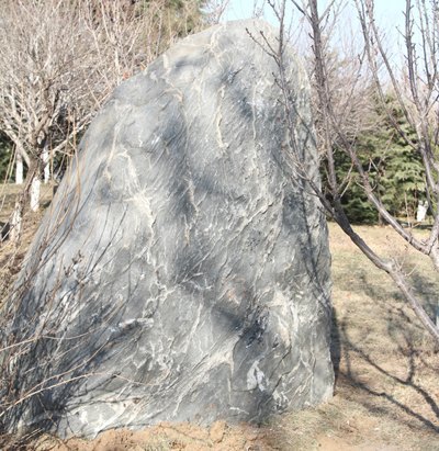 青岛校友会向母校捐赠泰山石