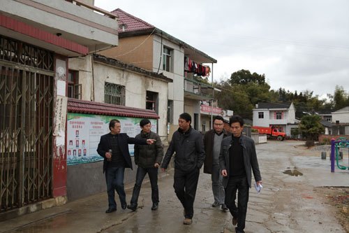 景德镇陶瓷学院校长助理、组织部长胡林荣慰问湘湖镇灵安村