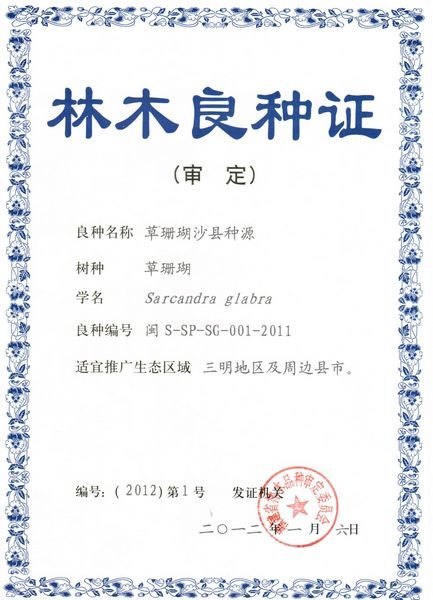 三明学院一课题组选育的2个草珊瑚优良种源通过福建省林木良种认定