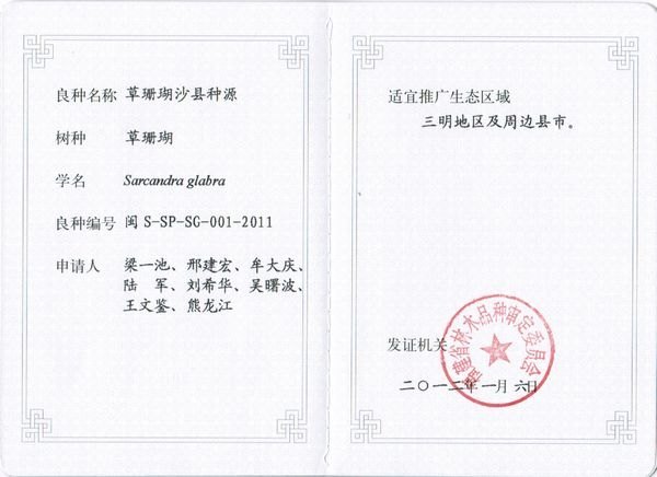三明学院一课题组选育的2个草珊瑚优良种源通过福建省林木良种认定