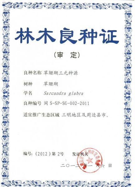 三明学院一课题组选育的2个草珊瑚优良种源通过福建省林木良种认定