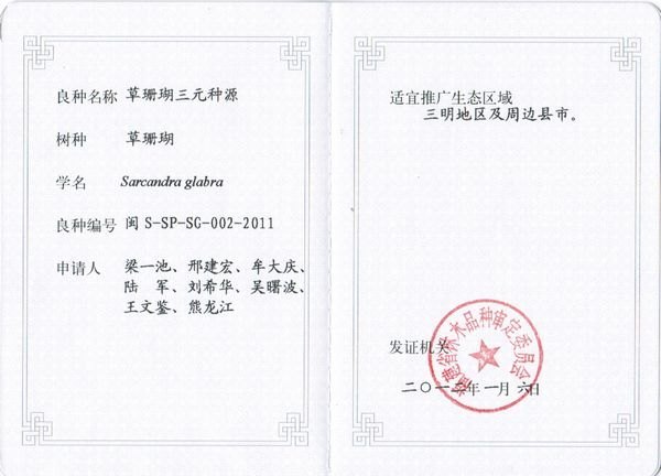 三明学院一课题组选育的2个草珊瑚优良种源通过福建省林木良种认定