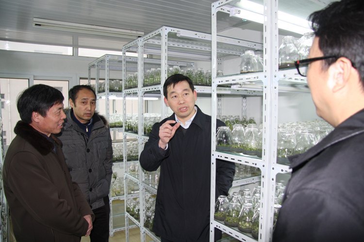 省教育厅组织专家实地考察评审皖西学院大学生创新创业教育工作