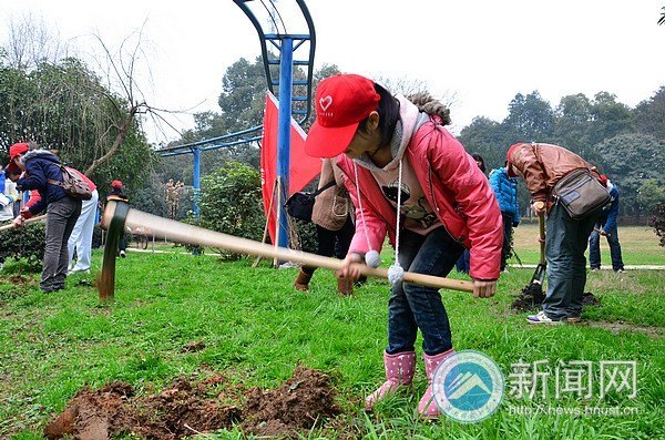 种下一片绿色 奉献一份爱心