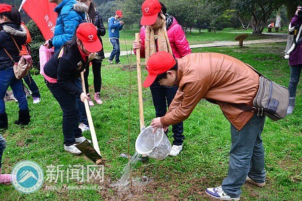 种下一片绿色 奉献一份爱心