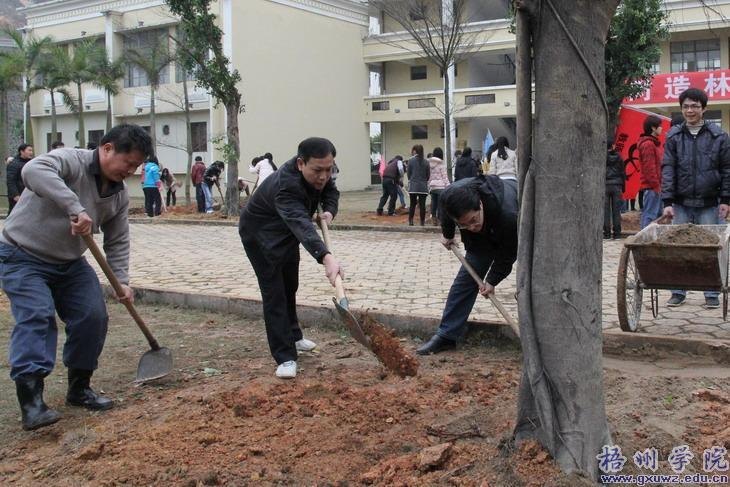 У԰ֲ��æ ʦ�������