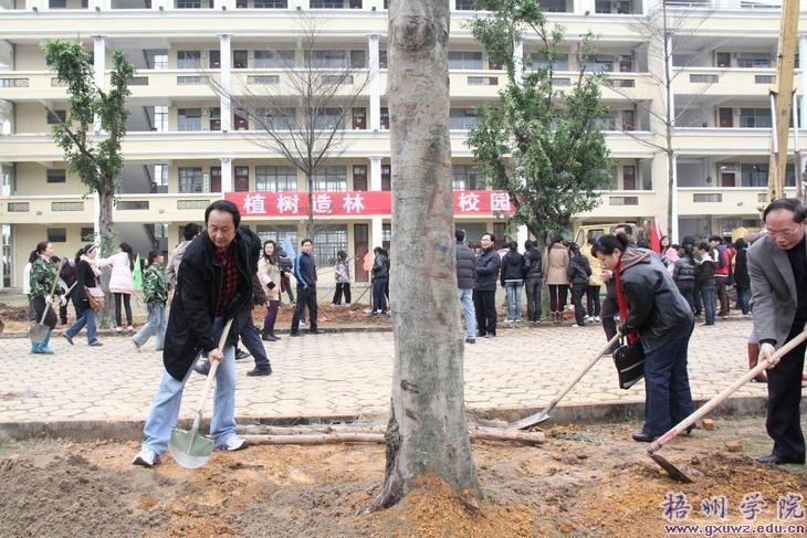 У԰ֲ��æ ʦ�������