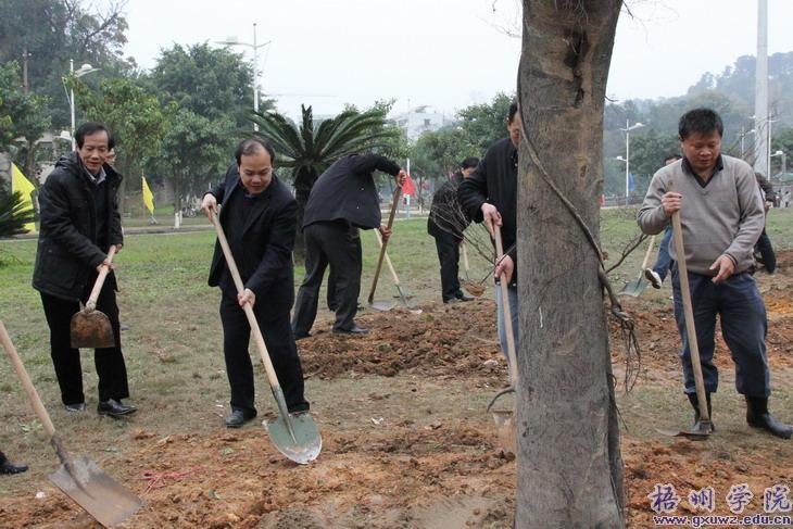 У԰ֲ��æ ʦ�������