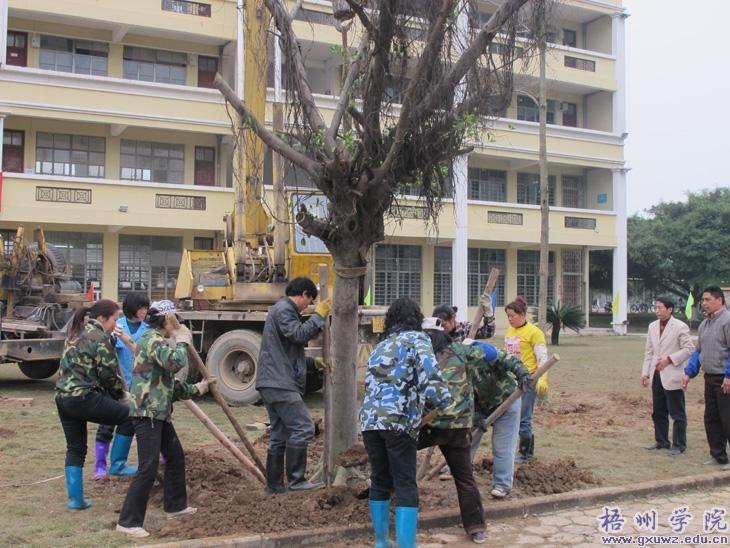 У԰ֲ��æ ʦ�������