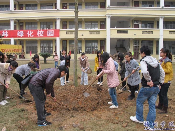 У԰ֲ��æ ʦ�������