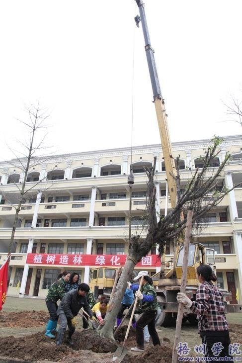 У԰ֲ��æ ʦ�������