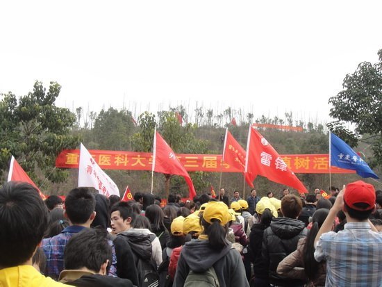 绿添医林暖五载缙云 爱满共青承九十风华