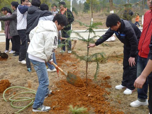 景德镇陶瓷学院师生在校园义务植树