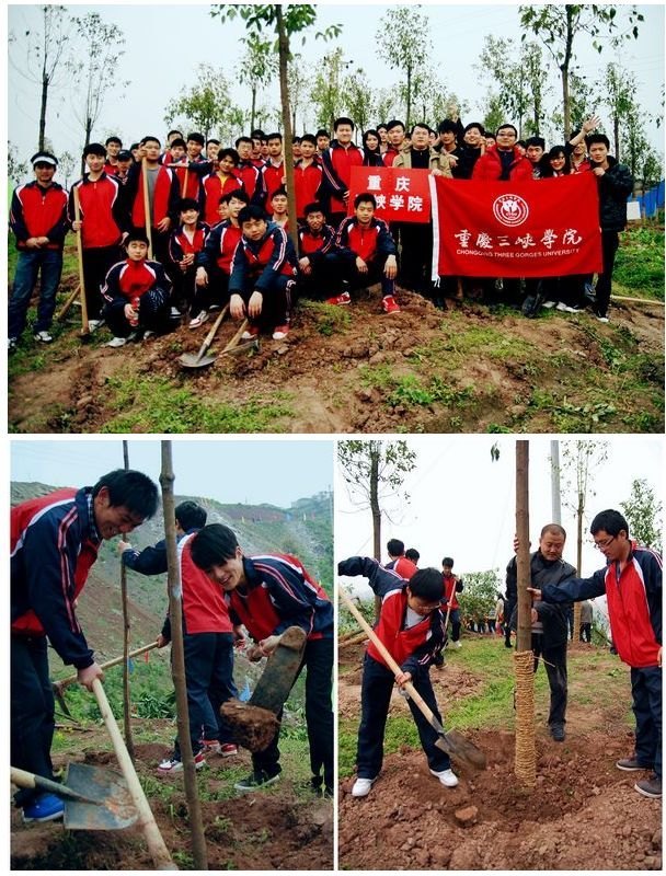 重庆三峡学院积极开展植树造林活动