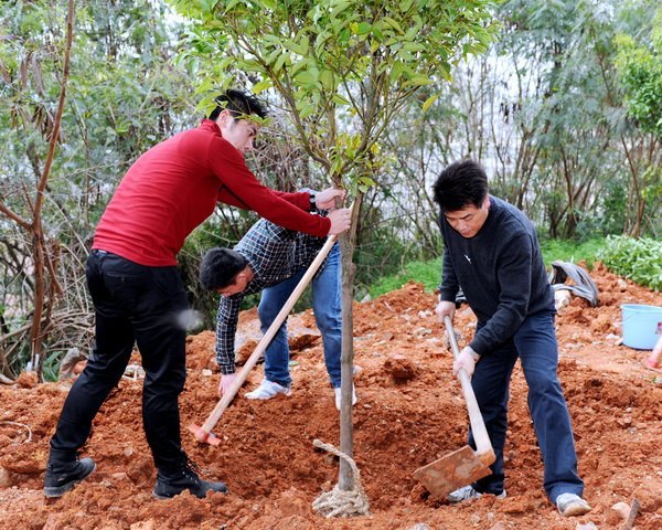 爱绿护绿 美化校园 我们在行动--三明学院全校师生开展校园植树活动