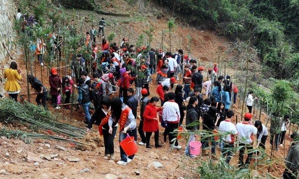 爱绿护绿 美化校园 我们在行动--三明学院全校师生开展校园植树活动