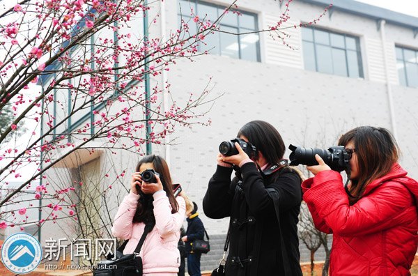 ���ϿƼ���ѧǧ��÷���������� ����У԰