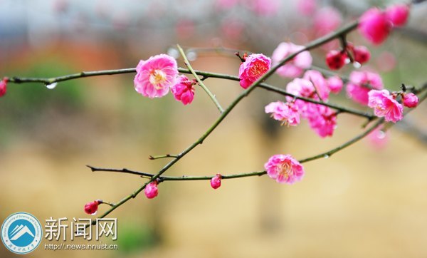 ���ϿƼ���ѧǧ��÷���������� ����У԰