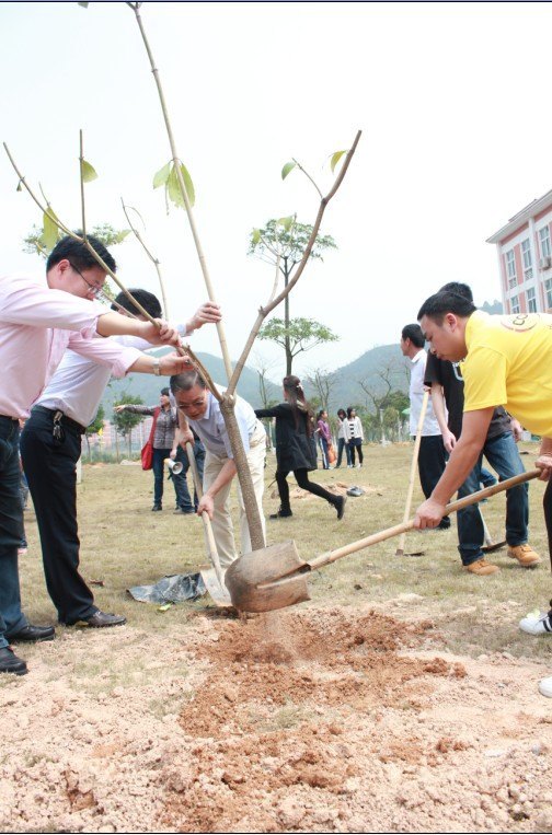 ���ִ���  �ж���Ȼ����ѧԺ������ֲ���˳����չ