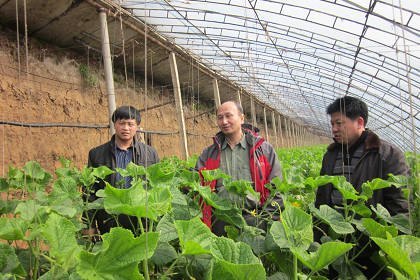 渤海大学国家农产品质量安全控制技术服务与示范基地(东北基地)果蔬团队成员到凌源市调研蔬菜产业