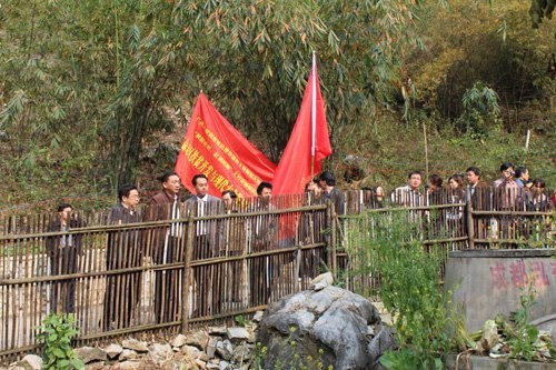 刘力书记、叶德明副书记率队深入田东县农村开展“解放思想,赶超跨越”大讨论调研活动