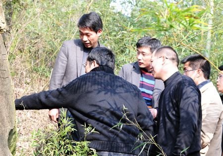 台州文化研究中心赴路桥考察文化遗址