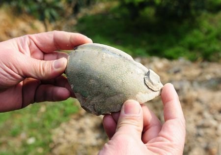 台州文化研究中心赴路桥考察文化遗址