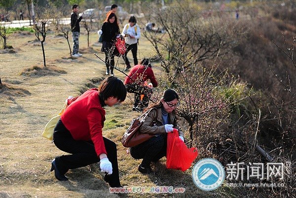 女教师们来护花 樱花园“花”开浪漫