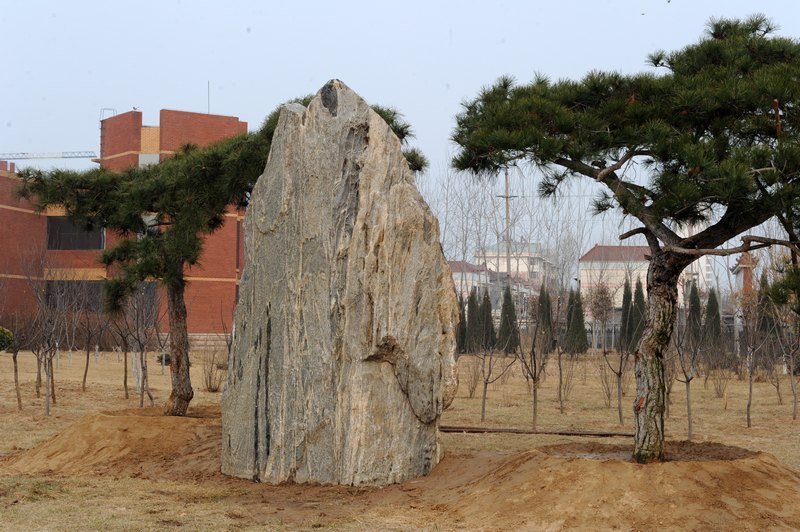 滨州学院校园又添新景点