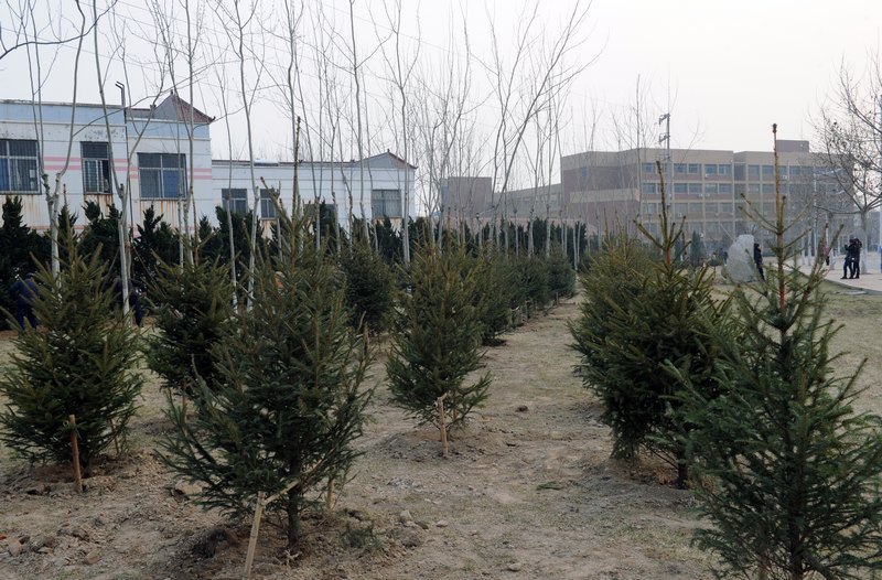 滨州学院校园又添新景点