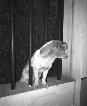 ���ִ��챨�����챨���Ͼ�����ѧԺ�������˺���