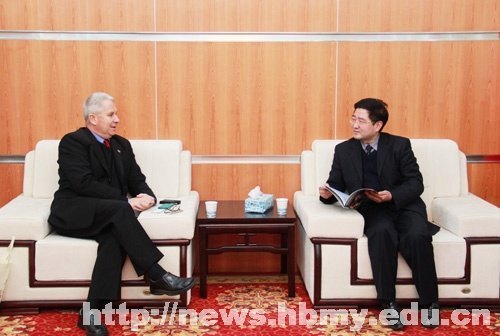 ���ڻ��ά�����Ǵ�ѧ���ʷ�չ����Rhys williamsһ��