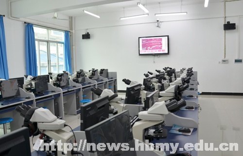 ��̬ѧ������΢������ѧʵ��ϵͳ�仧ҽѧԺ