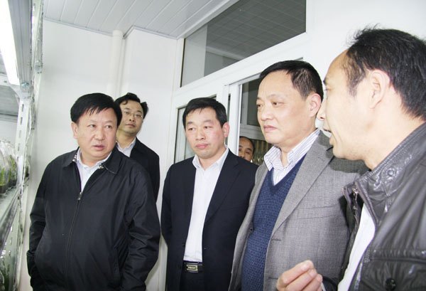 ���������ý���˾��˾�����������ѧԺ����