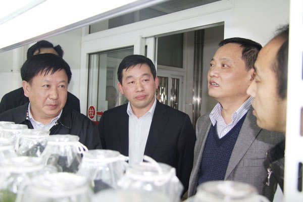 ���������ý���˾��˾�����������ѧԺ����